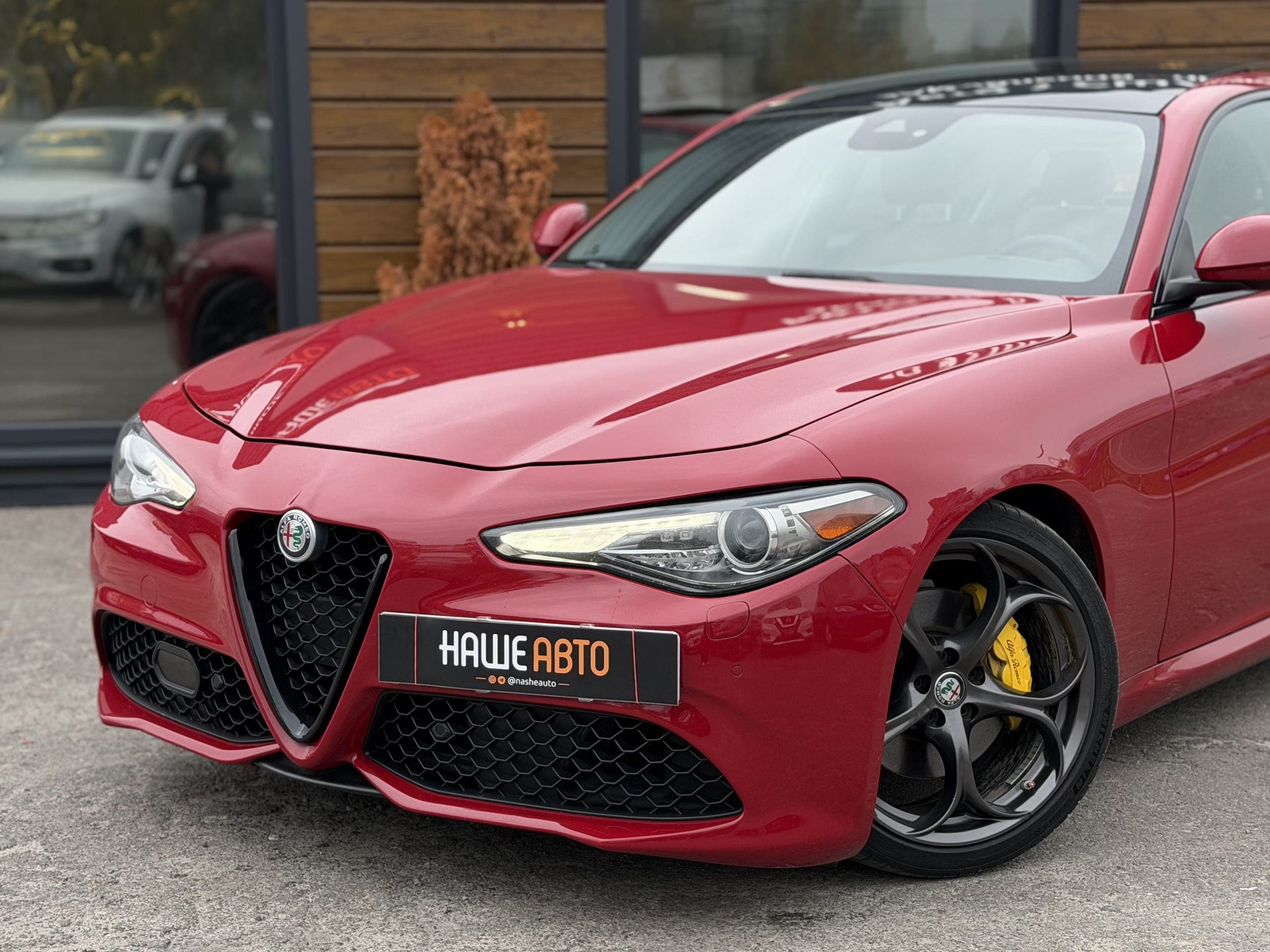 ALFA ROMEO GIULIA — фото 4 з 51